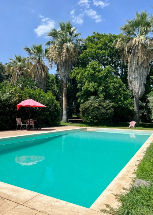 b2f5a449-42a5-46a0-9c46-b31de9bb65bf